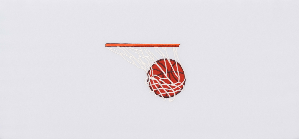 HP 5955 Basketball with Net